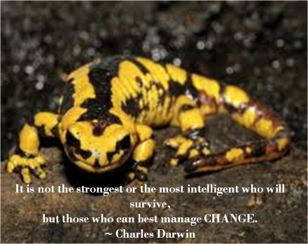 Managing Change quote by Charles Darwin