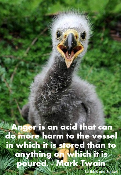 Anger Quote 2